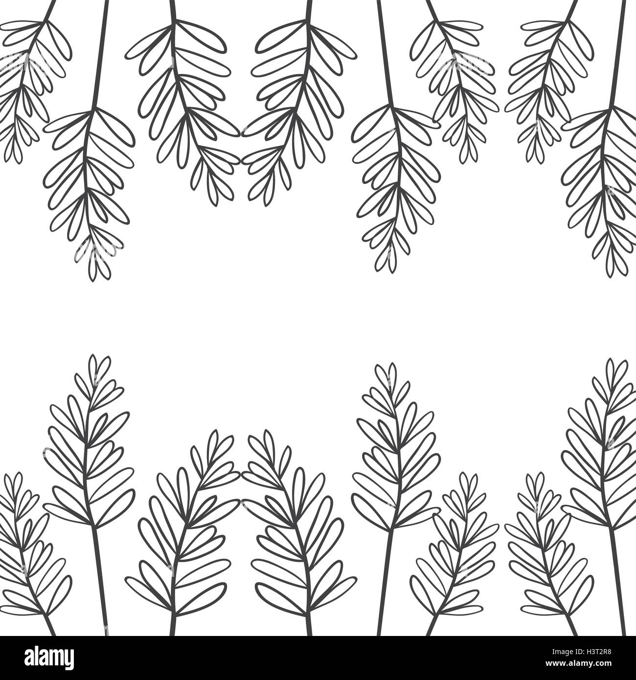Bord de branches avec des feuilles ovales Illustration de Vecteur