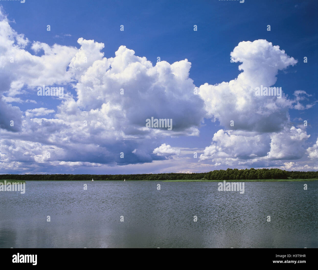 Pologne, Mazurie, muraille lac, ciel nuageux, Europe, grande plaine plaine Masurische pleine lacs, lac, paysage, lac, disque pauvres Jezioro Mamry, eaux, nuages, nuages, paysage beautyful mer, l'été, Banque D'Images