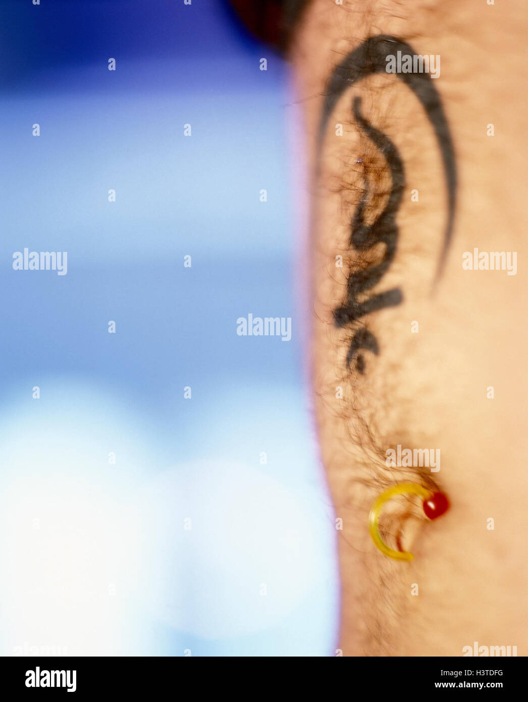 L'homme, détail, abdomen, nombril, piercing, tatouages, Close up, modèle, parution de l'abdomen de l'homme, Bauchnabelpiercing, tatouage, figure, Asiatique, tatouages, gepierct, tendance, la mode, les bijoux de corps, le mode de vie, très proche Banque D'Images