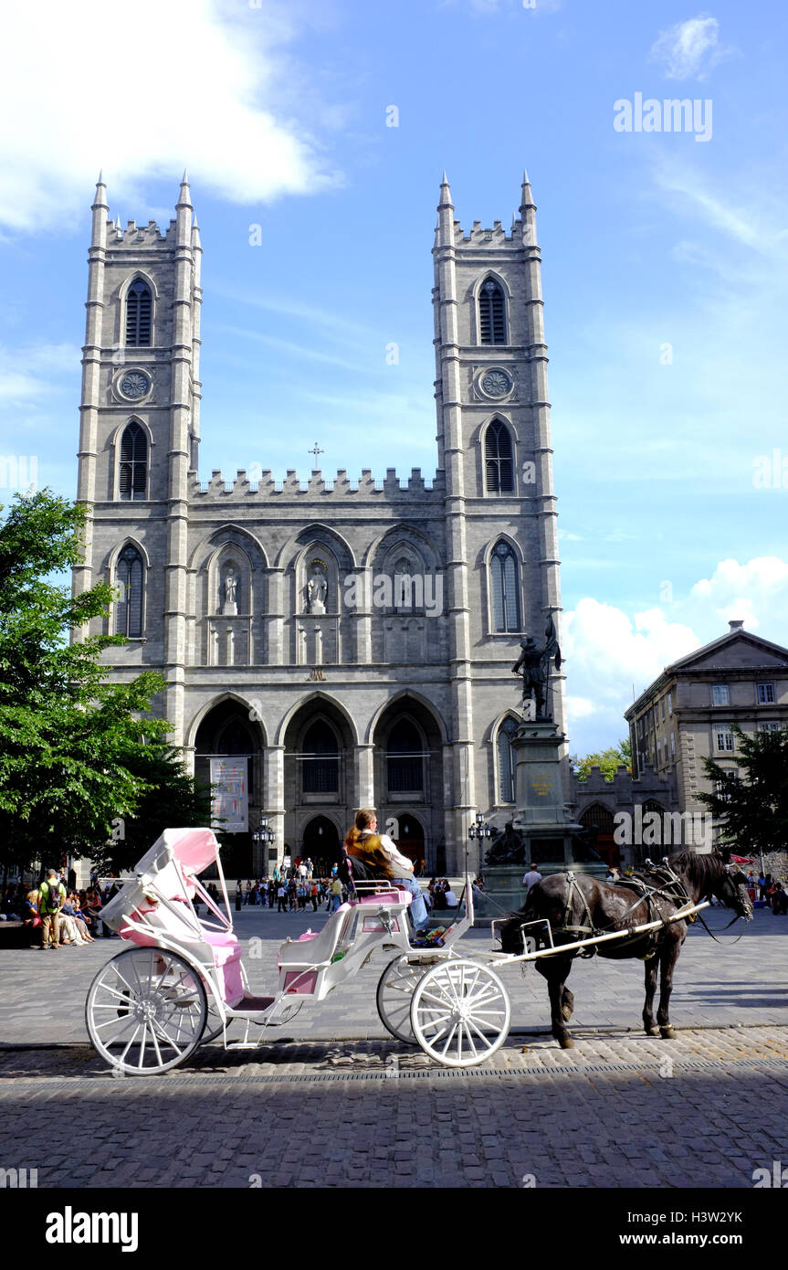 Un cheval et un chariot en attente dans la place d'armes avec Notre Dame dans l'arrière-plan à Montréal, Québec, Canada. Banque D'Images