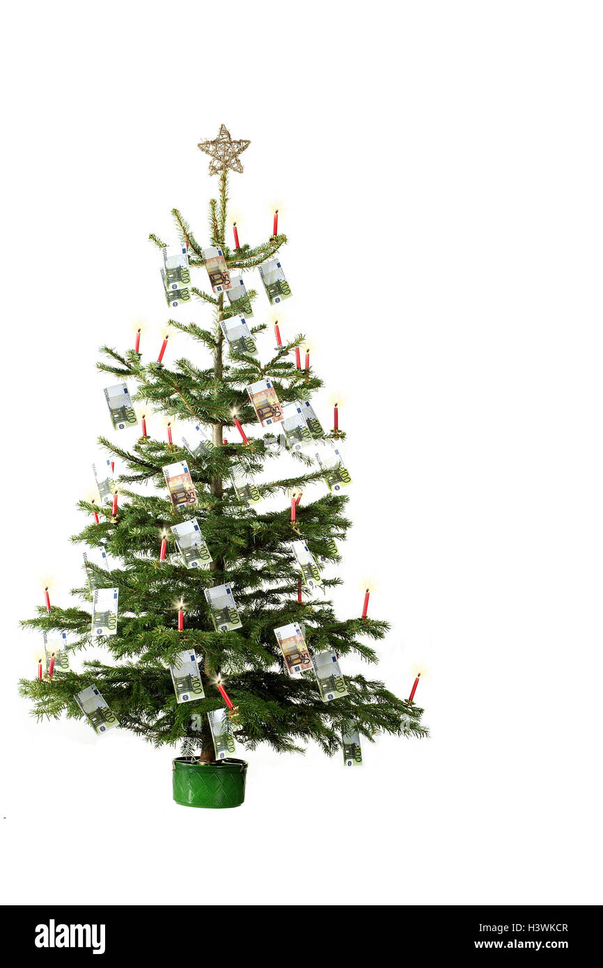 Arbre de Noël, les billets de banque, Noël, yule marée, pour Noël, arbre de Noël, arbre, décoré, de décorations de Noël, cadeaux de l'argent, des allocations de Noël, d'argent, billets, billets, d'une manière différente, extrêmement, cut out, studio, nature morte Banque D'Images