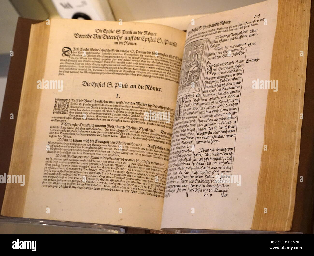 Martin Luther, traduction du Nouveau Testament. Martin Luther (1483-1546) Un professeur allemand de théologie, compositeur, prêtre, ancien moine et une figure de la Réforme protestante. En date du 16e siècle Banque D'Images