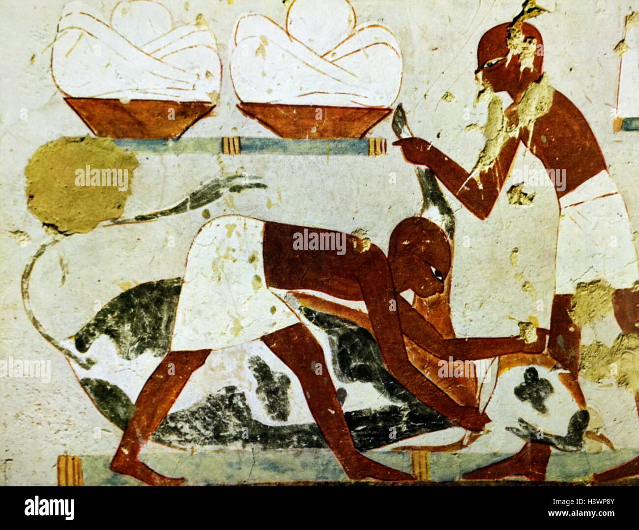 Peinture de la tombe d'un officiel de l'Égypte ancienne, Djeserkaraseneb, dépeignant les bouchers avec une vache. En date du 18e dynastie. Banque D'Images