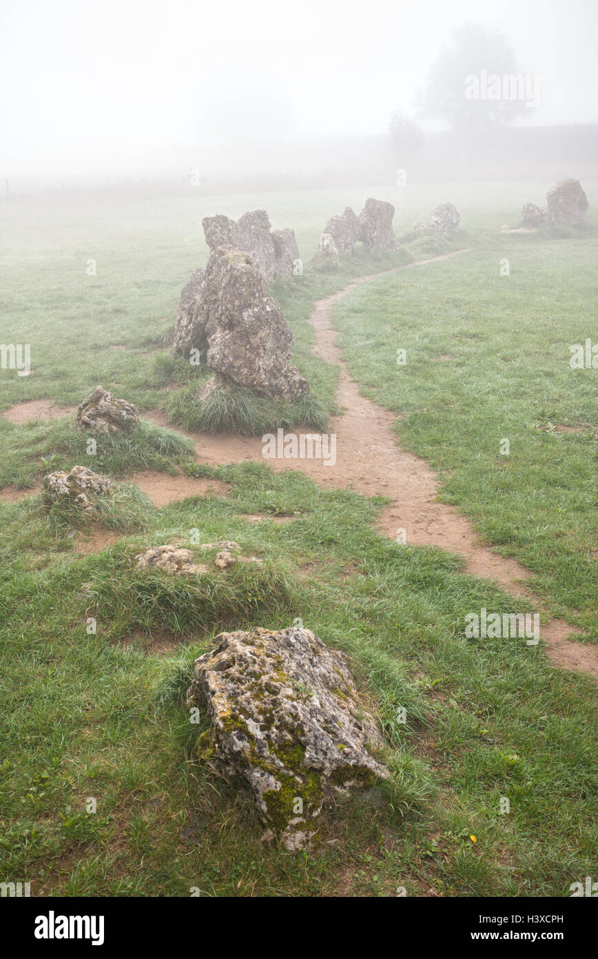 Le Rollright stones dans le brouillard. L'Oxfordshire, Angleterre. Banque D'Images