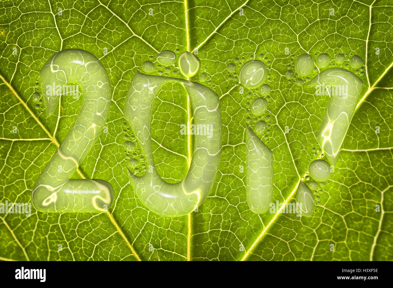 2017, gouttes de pluie sur une feuille verte, nouvel an 2017 concept environnement Banque D'Images