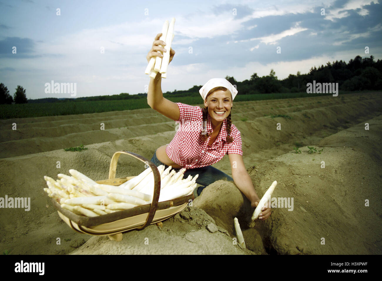 Champ d'asperges, femme, jeune, l'asperge, la récolte, la culture des asperges, de l'agriculture, de la vie à la campagne, les légumes, les cultures maraîchères, la culture des terres, la vie, agriculteur, la récolte, le rendement, la récolte d'asperges asperges, bâtons, panier, Sting, légumes asparagi, travail, terrain, terrassement, heureux, sourire, s'agenouiller, tenir, foulard, coiffures Banque D'Images