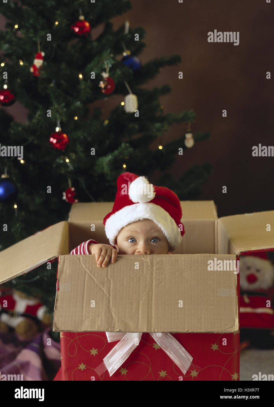 Cadeau de Noël, carton, bébé, Santa's hat, Noël, arbre de Noël, arbre de  Noël, pour Noël, présent, enfant, nourrisson, vieille personne, 9 mois, de  l'enfance, joue, masquer, curiosité, surprise de Noël, enfant,