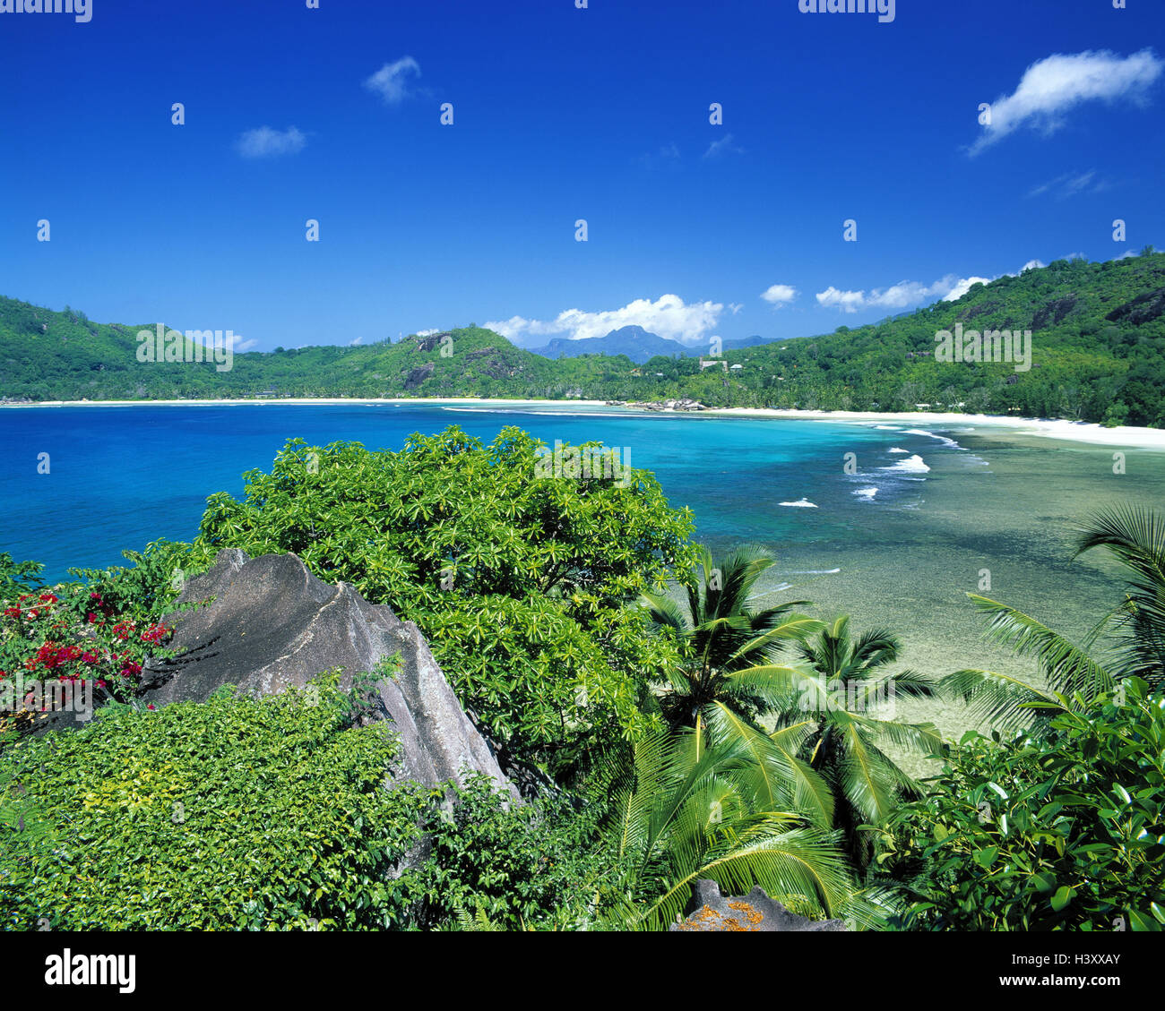 Les Seychelles, Mahe, Northwest, plage, baie Lazare, de l'océan Indien, la baie, la baie de bain, plage, paysage, nature, plantes Banque D'Images