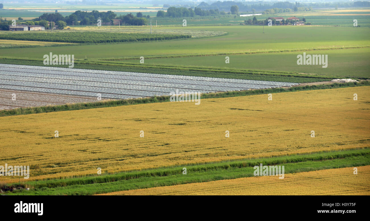 Vue aérienne de l'ordinaire, avec les champs de la vallée du Pô en Italie Banque D'Images