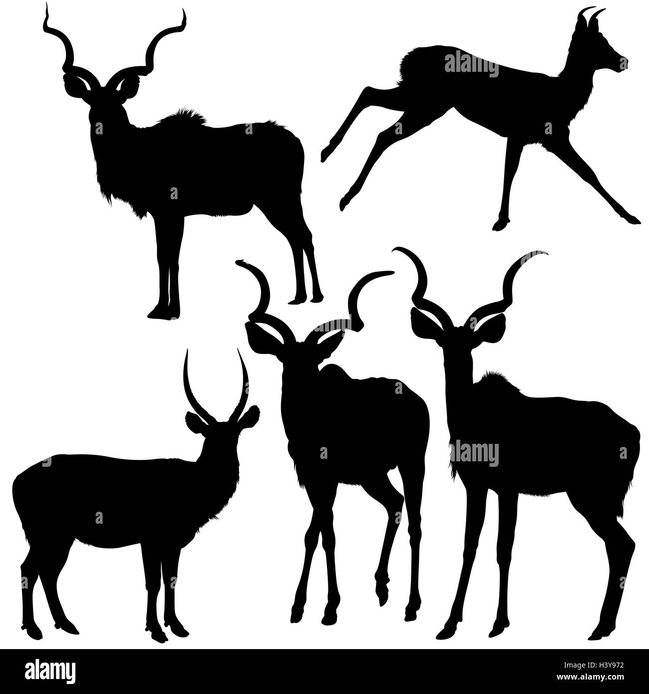 Silhouettes d'antilope Illustration de Vecteur