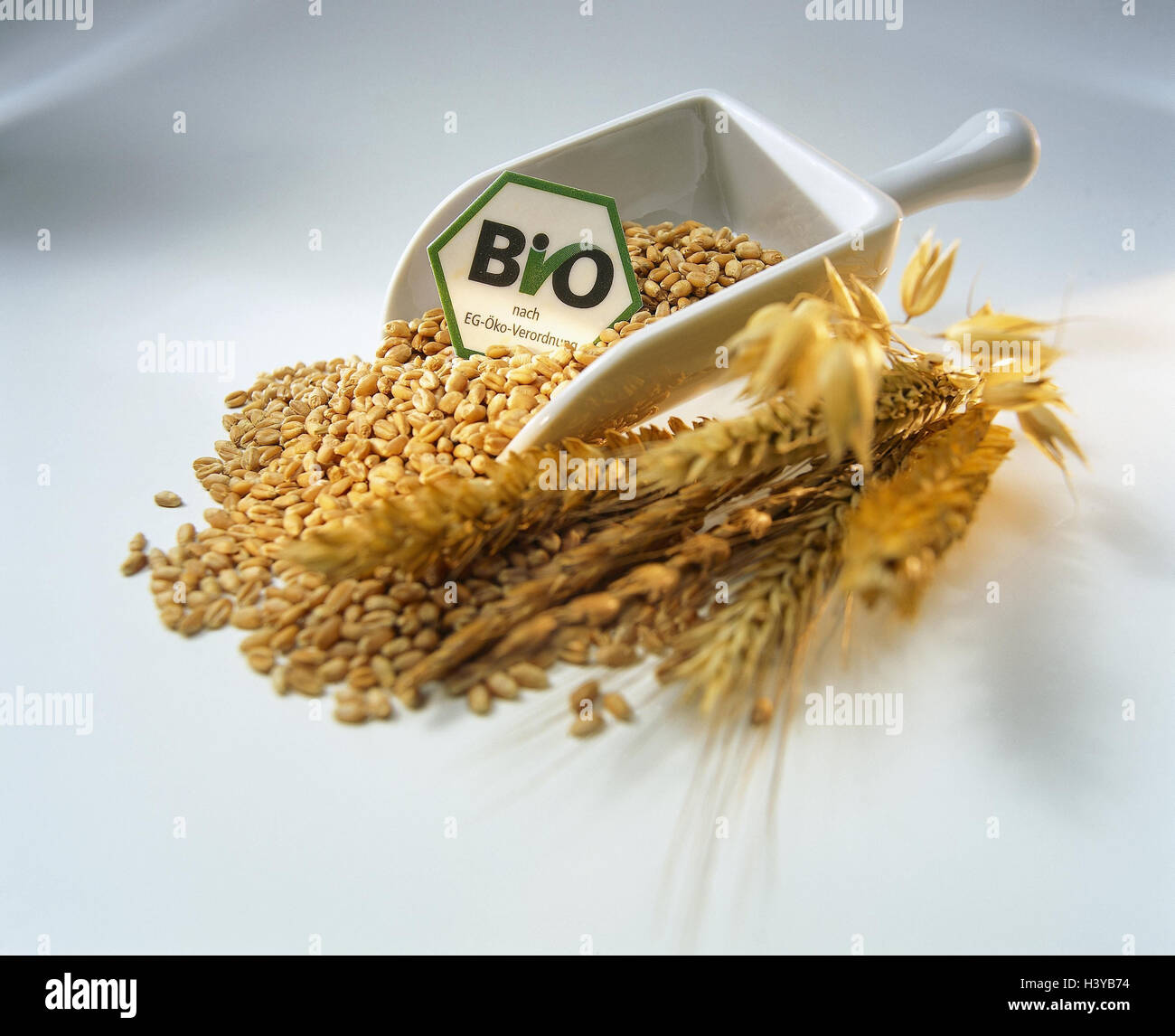 Grain, oreilles, pelle, bio-logo, ce livre vert, la nature morte, photographie de produits, studio, cut out, bio-étiquette, étiquette, logo, biologie, vert, produit, vérifie la production écologique, l'ordre, l'organisme accrédité, bio-seal, Seal, la qualité de timbre, la preuve, sceau de qualité, la gruyere Banque D'Images