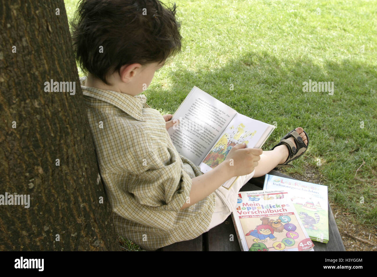 Pré, garçon, livres, lire, détail, jardin, tronc, maigre, enfant, 7 ans, des écoliers, des loisirs, des vacances, de l'activité, activité de loisirs, l'intérêt, l'attention, la concentration, apprendre, étudier, regarder, livre, livre pour enfants, des histoires d'animaux, de Storybook, soif de Banque D'Images