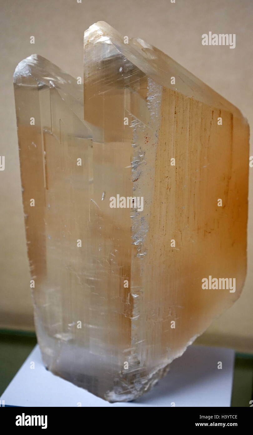 Un échantillon du sélénite, qui est fait à partir de quatre variétés du minéral gypse et cristallisé. En date du 21e siècle Banque D'Images
