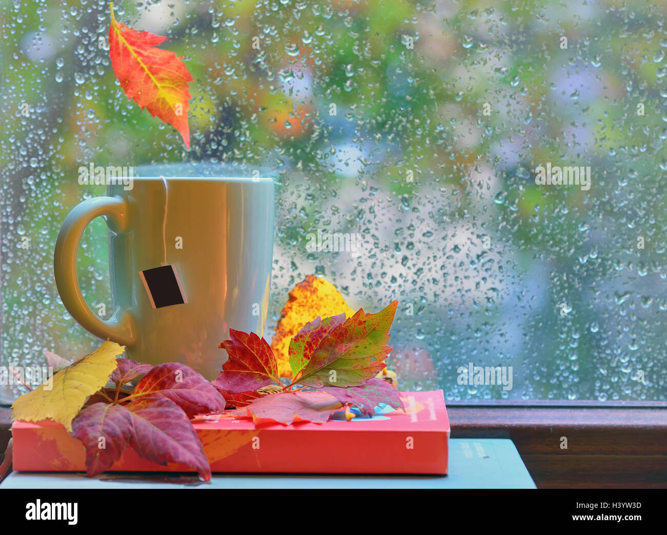 Tasse de thé à la fenêtre avec des feuilles et gouttes d'après la pluie en automne Banque D'Images