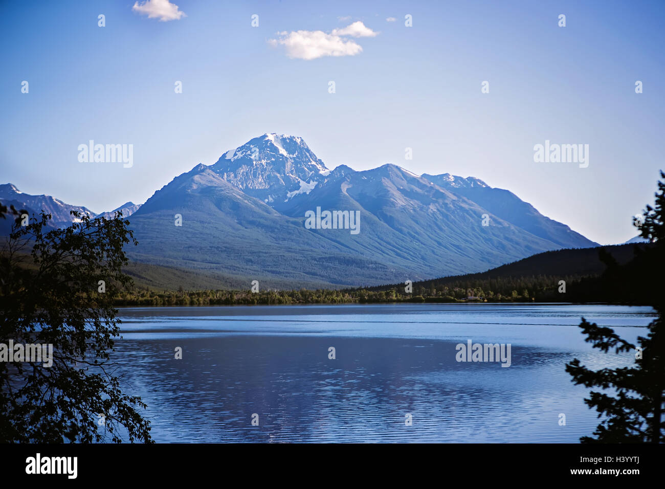 Montagne près de Williams Lake, Colombie-Britannique, Canada Banque D'Images