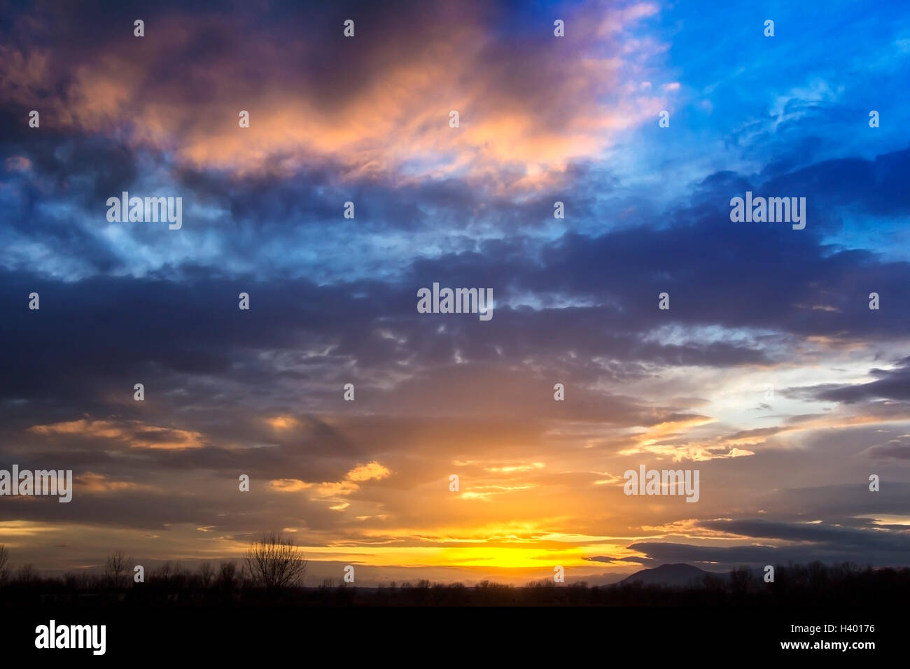 Lever et coucher de soleil spectaculaire paysage ciel avec une silhouette d'arbres Banque D'Images