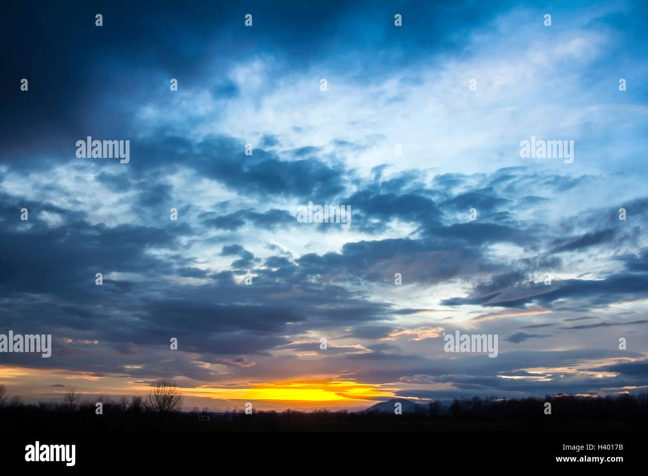 Lever et coucher de soleil spectaculaire paysage ciel avec une silhouette d'arbres Banque D'Images