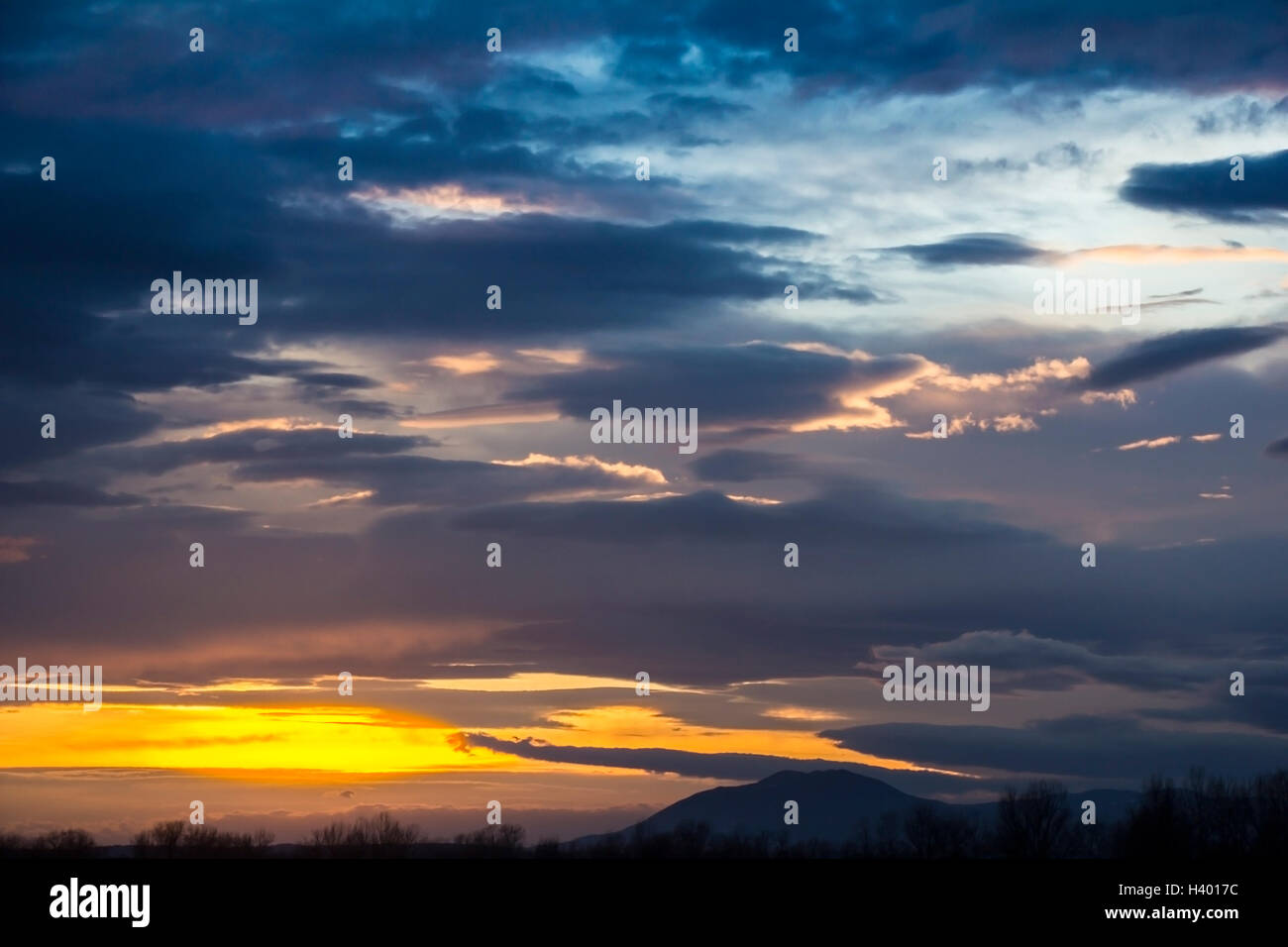 Lever et coucher de soleil spectaculaire paysage ciel avec une silhouette d'arbres Banque D'Images