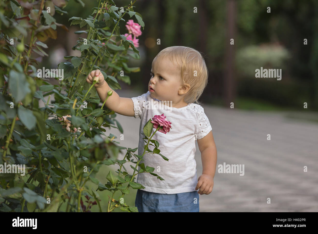 Cute girl de toucher d'un bouton de rose au park Banque D'Images