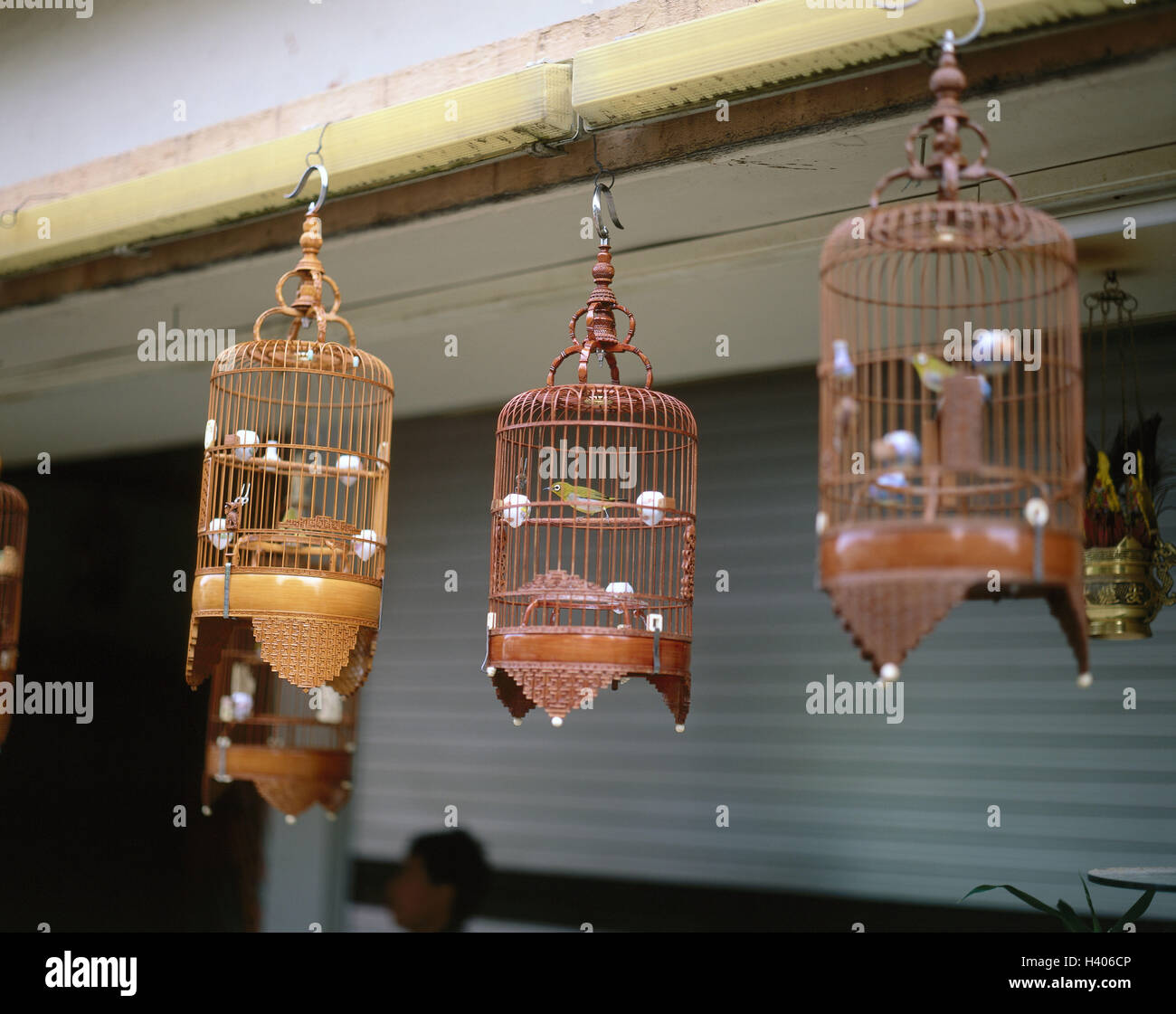 Singapour, Singapour, Tiong Bahru, carte de l'oiseau en cage, Asie, Singapour, République de l'oiseau, le point de contact le point de contact du collecteur, concours de chansons, tradition, bâtis, des oiseaux, des oiseaux chanteurs, en gardant les animaux, d'oiseaux, la position de captivité, vendre, ventes, à l'extérieur Banque D'Images