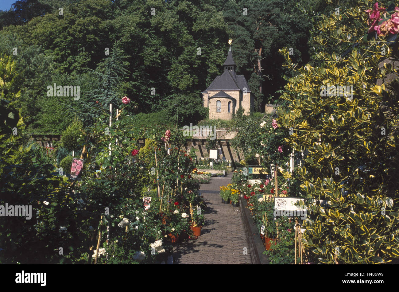 Allemagne, Eifel, cloître du monastère Maria Laach, jardins, bande, Europe, Vulkaneifel, cloître, cloître market garden, market garden, jardin, jardin, correctifs, la culture, les plantes, fleurs, plantes en pot, patch de plantes, d'arbustes, d'arbres, arbustes, Koniferen, p Banque D'Images