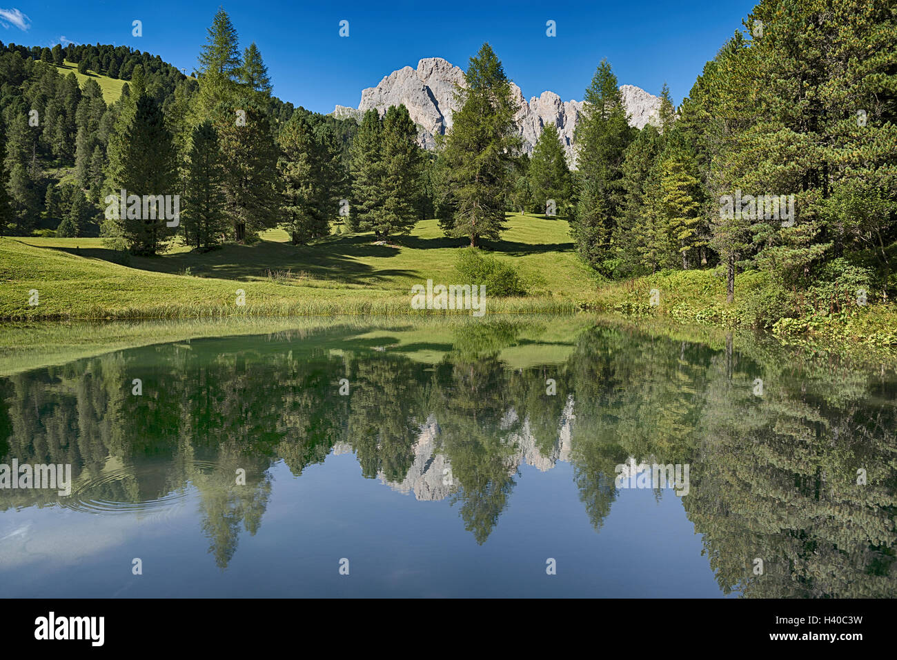 Lac dans la forêt avec les montagnes en arrière-plan, saison estivale - Trentin-Haut Adige, Dolomites Banque D'Images