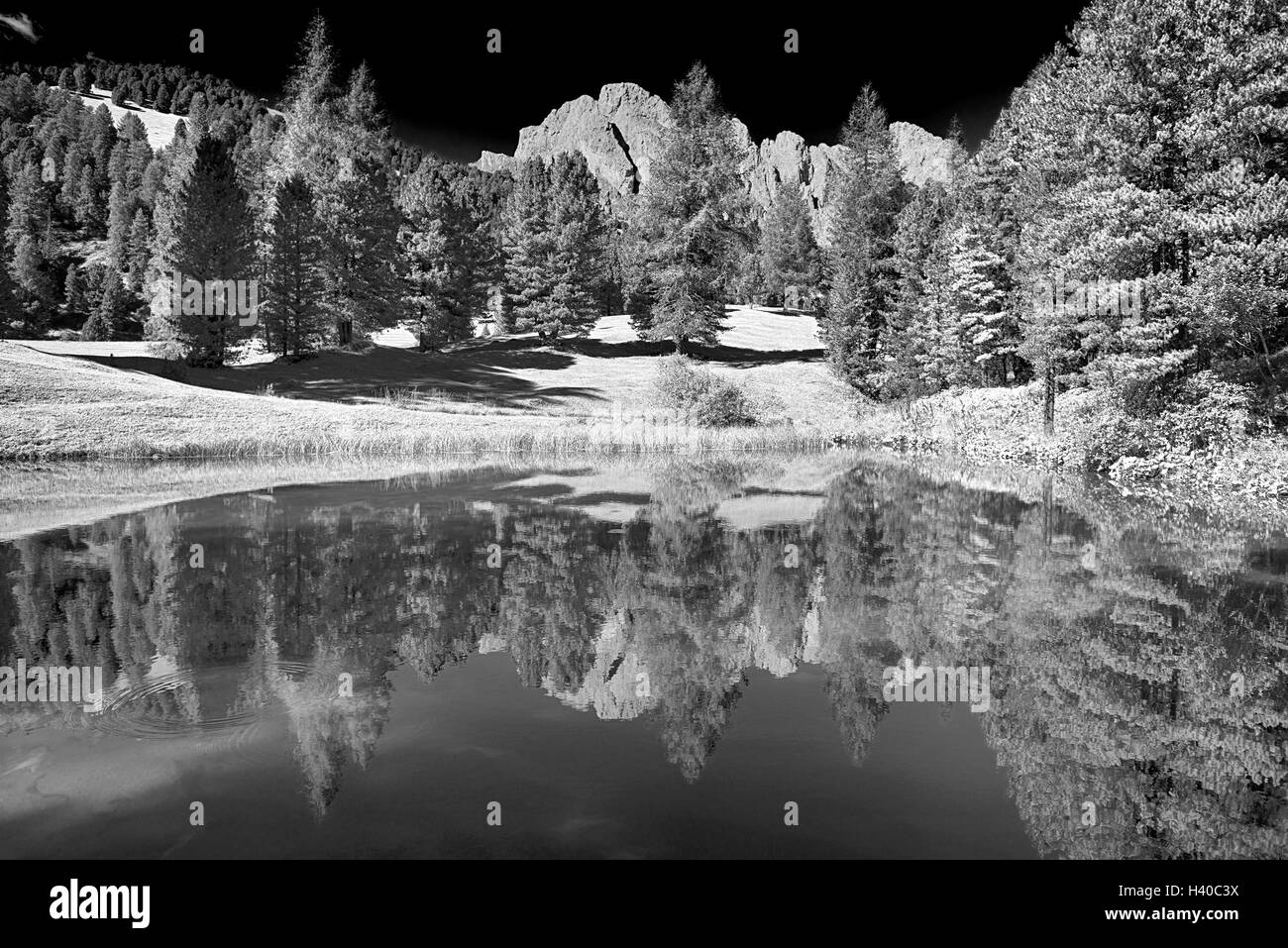 Lac dans la forêt avec les montagnes en arrière-plan, saison estivale - Trentin-Haut Adige, Dolomites Banque D'Images