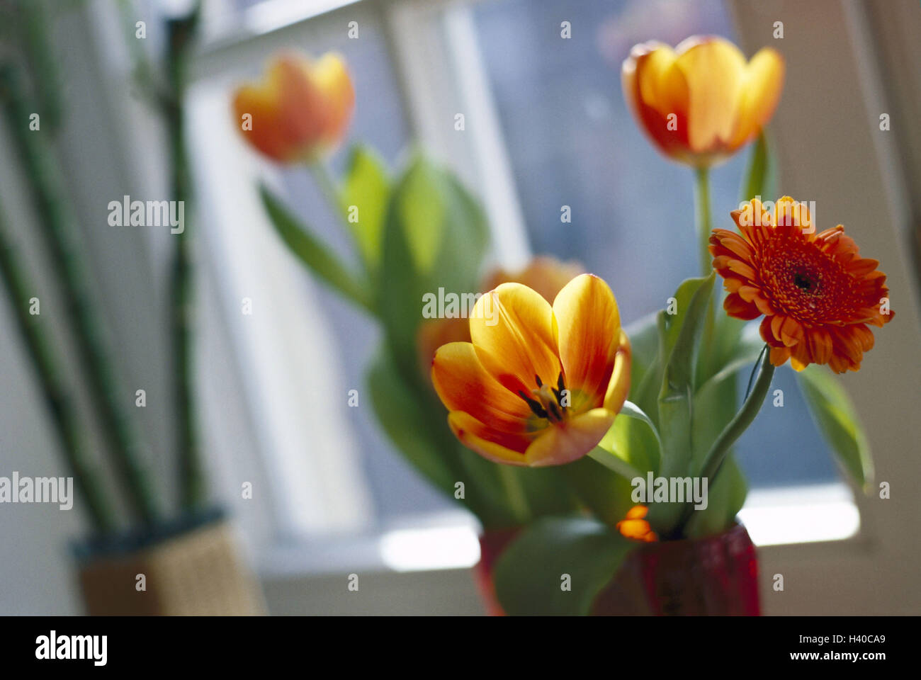 Sill, vases à fleurs, tulipes, gerbera, détail, fenêtre, décoration, décoration espace de vie, prix le climat, la décoration florale, des vases, des fleurs, des messagers du printemps, blossom, still life, flou Banque D'Images