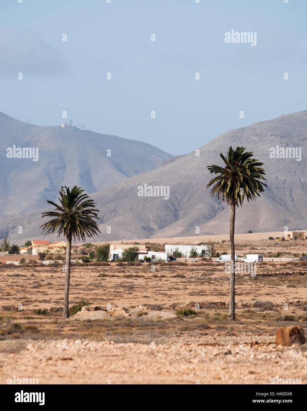 Fuerteventura, Îles Canaries, Afrique du Nord, Espagne : la conduite sur la route, vue de paysage désertique avec des palmiers, des maisons blanches et des montagnes Banque D'Images