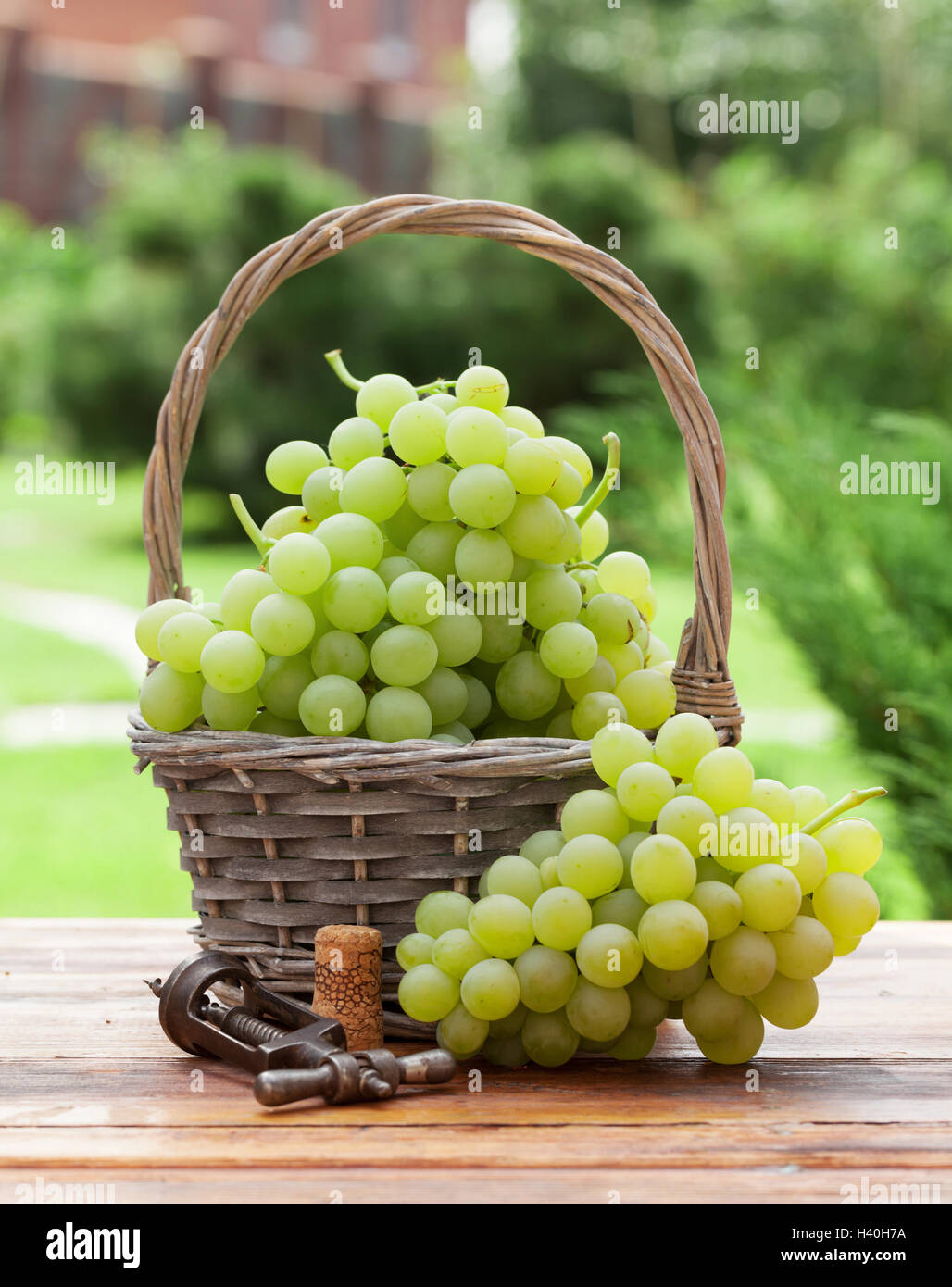 Panier de raisin blanc sur la table en bois dans le jardin ensoleillé Photo  Stock - Alamy