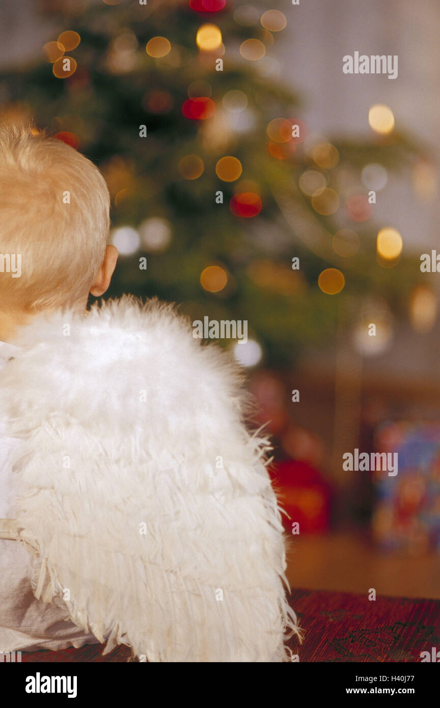 La veille de Noël,Noël,arbre de Noël,angel,Angel's wing,vue arrière,BOY,enfant,enfance,étudier,contemplation,détail,déguisement,intérieur,festif,recherche,réflexion,wing,x-mas Banque D'Images