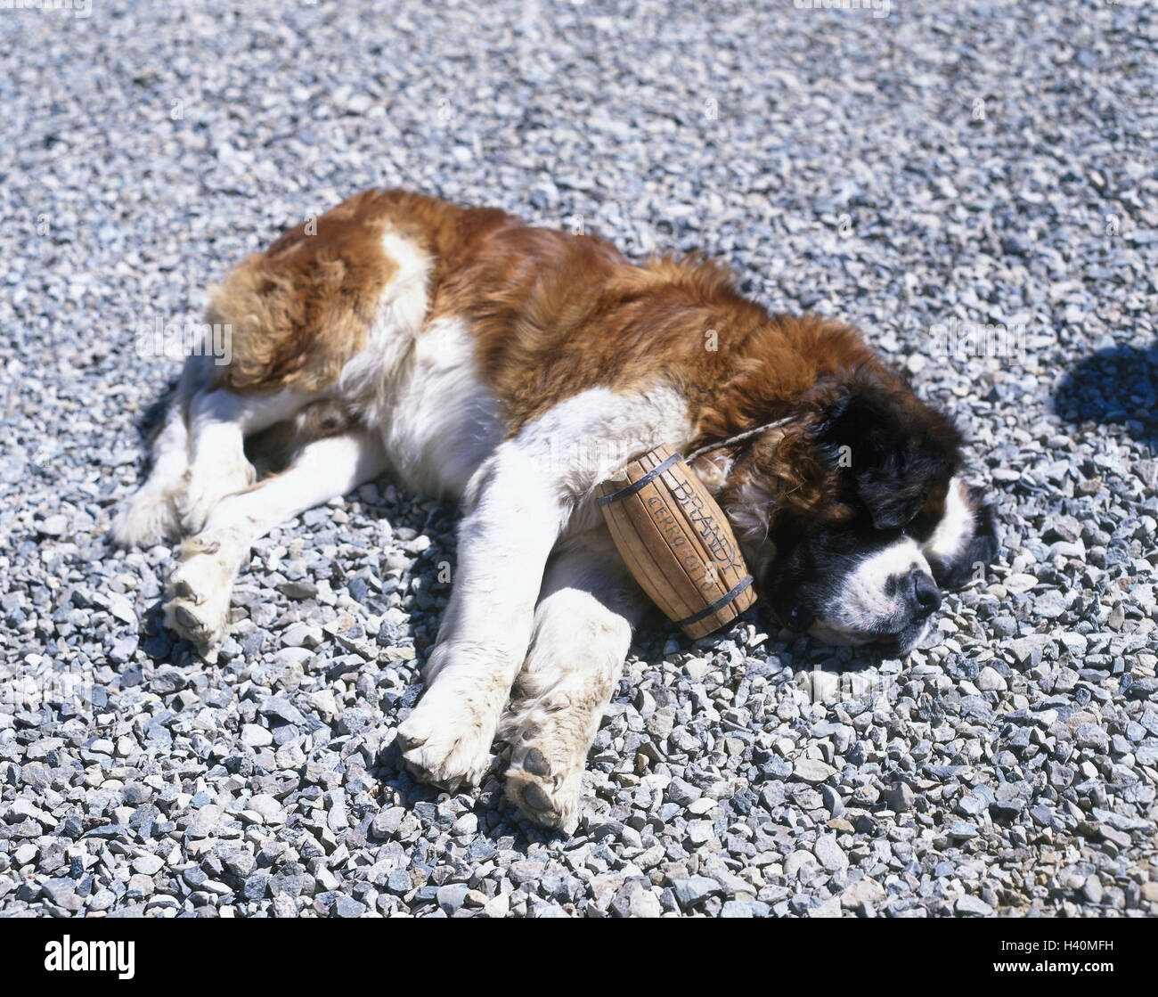 Largentine Patagonie San Carlos De Bariloche Le Sol