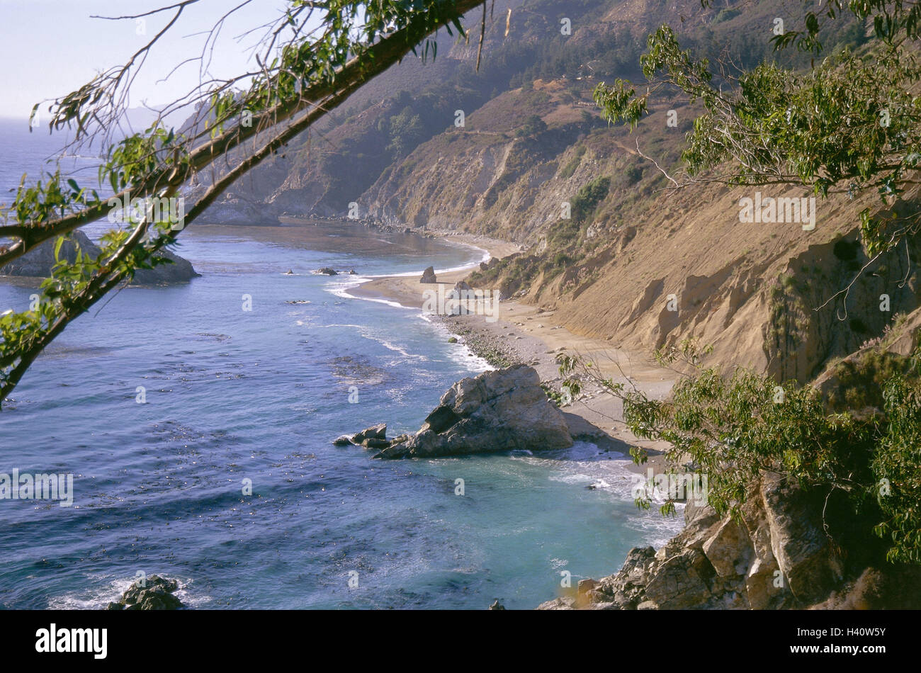 Les États-Unis, Californie, Big Sur, Julian Pfeiffer Burns State Park, paysages côtiers, Amérique, Amérique du Nord, de la côte ouest, la route n° 1, côte, côte de la bile, rock, plage, surf, le repos, le silence, la solitude Banque D'Images