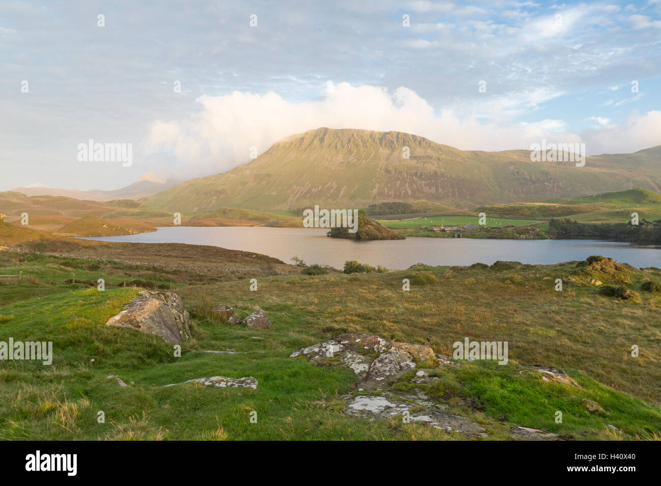 La fin de l'après-midi plus Cregennan les lacs, Gwynedd, Parc National de Snowdonia, le Nord du Pays de Galles, Royaume-Uni Banque D'Images