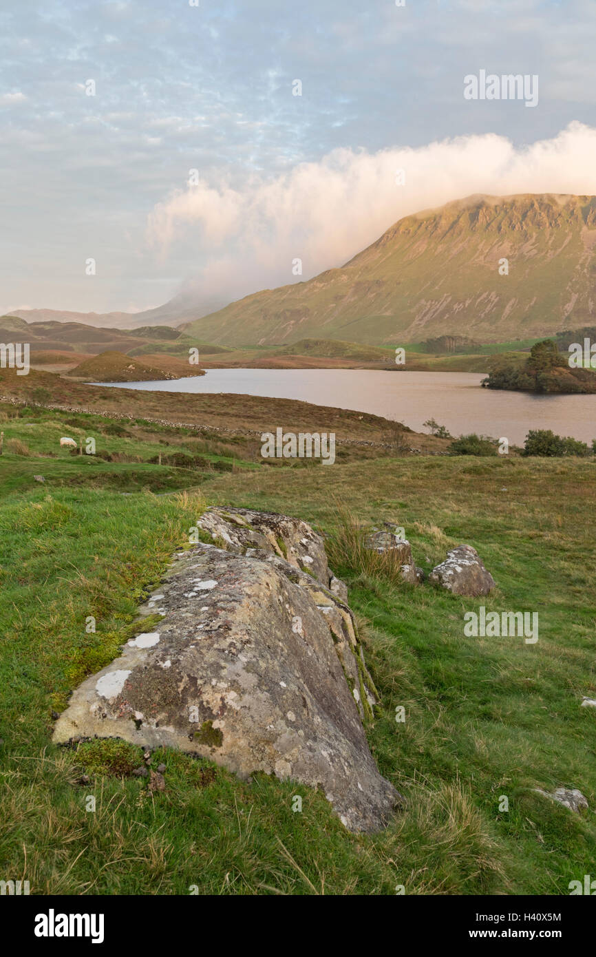 La fin de l'après-midi plus Cregennan les lacs, Gwynedd, Parc National de Snowdonia, le Nord du Pays de Galles, Royaume-Uni Banque D'Images