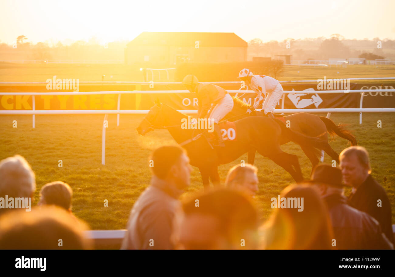 Au cours des courses de chevaux de Wincanton,Somerset, Angleterre, Royaume-Uni, Europe. Banque D'Images