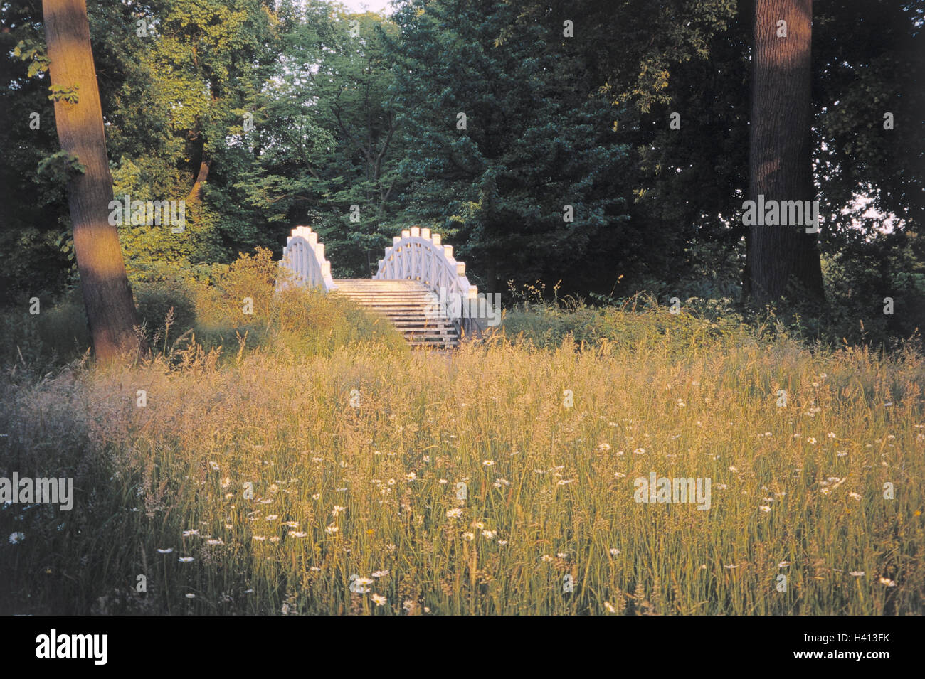 Allemagne (Saxe-Anhalt), empire, 5 jardin flower meadow, "pont blanc", l'Europe, "le milieu" de l'Elbe, de la biosphère, le jardin, en anglais, le plus grand et le plus ancien parc paysage, Kontinentaleuropas considérablement, l'horticulture, parc de loisirs, s'appuie je Banque D'Images