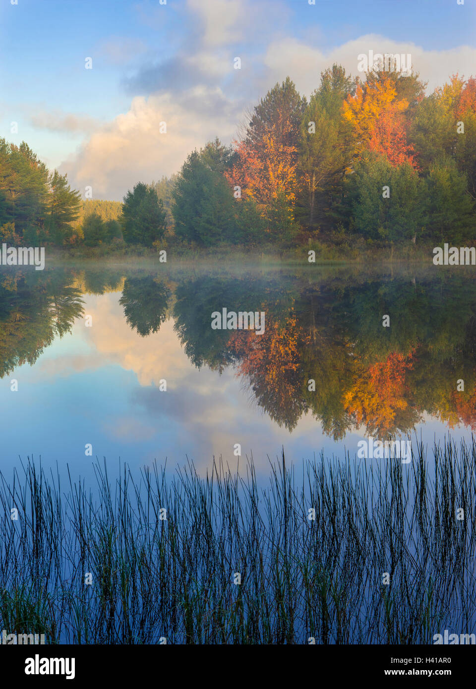 La forêt d'état du lac Supérieur, Michigan : Dawn réflexions sur le lac de Kingston avec automne forêt de couleur Banque D'Images