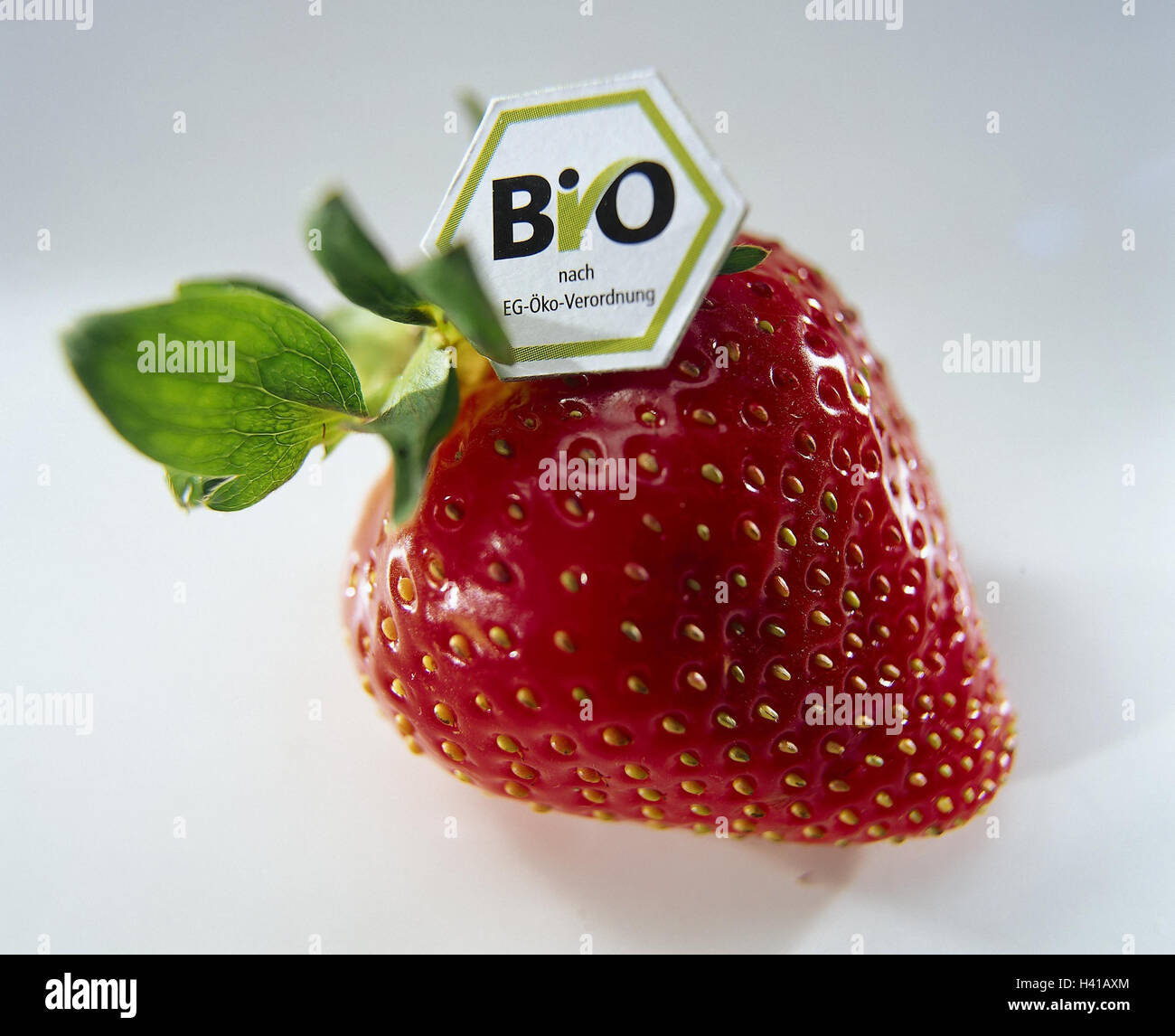 Fraise, bio-logo, ce livre vert, la nature morte, photographie de produits, studio, bio-étiquette, étiquette, logo, biologie, vert, produit, vérifie la production écologique, l'ordre, l'organisme accrédité, bio-seal, Seal, la qualité de timbre, la preuve, sceau de qualité, d'informations, l'origine, l'alimentation, Banque D'Images