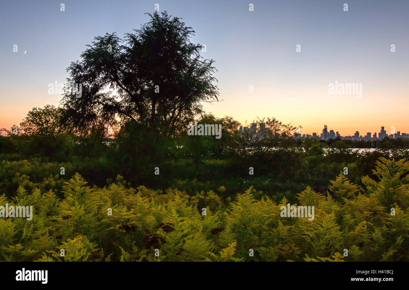 Crépuscule au parc Tommy Thompson, un désert urbain à Toronto, Ontario, Canada. Banque D'Images