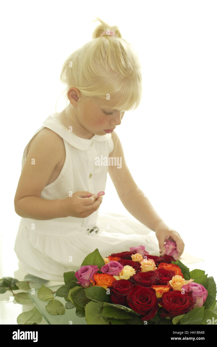 Girl, concentrés, rose fleurs, organiser, de l'enfant 5 - 10 ans, blond, de concentration, de soins, de difficulté, l'effort, difficulté, présent, donner, la Fête des Mères, Valentinstag, anniversaire, bande, en forme de coeur, arrangement, bouquet, roses, les fleurs, les couleurs, d'une manière différente, en Banque D'Images