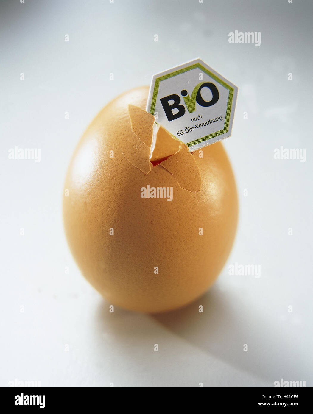 Oh, brown, Peel, cassées, bio-logo, ce livre vert, la nature morte, photographie de produits, studio, bio-étiquette, étiquette, logo, biologie, vert, produit, vérifie la production écologique, l'ordre, l'organisme accrédité, bio-seal, la qualité de timbre, la preuve, sceau de qualité, d'informations, d'origine Banque D'Images