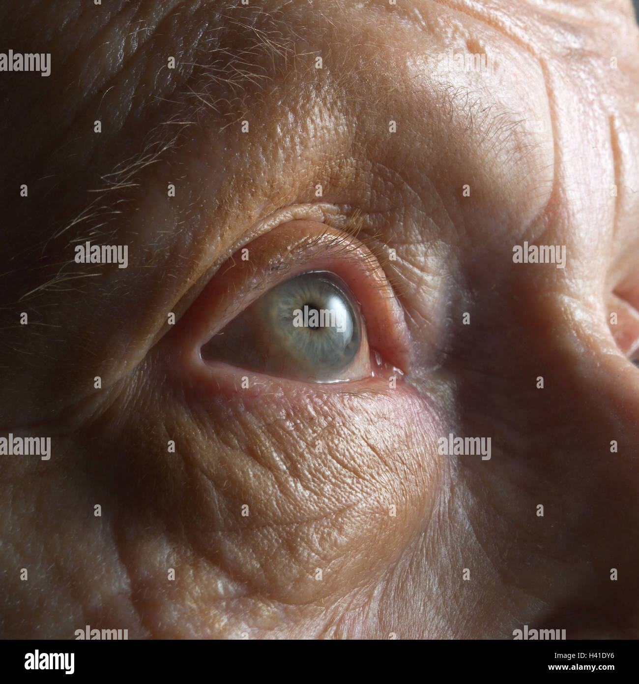Les cadres supérieurs, d'oeil, l'oeil, de près, très près, studio, retraité, femme, vieille, vieille personne, vieille femme, de vieux hommes, vieillesse, oeil, yeux, sens, voir, vue, détail, shell, froissé, plié Banque D'Images