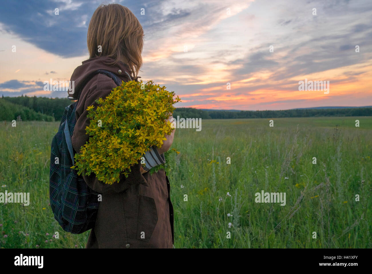 Caucasian woman holding bouquet de fleurs dans le champ au coucher du soleil Banque D'Images