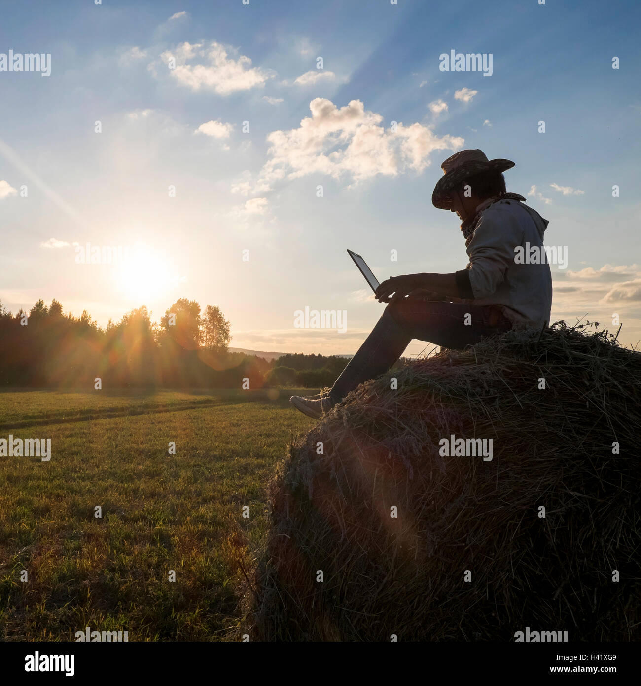 Mari man sitting on hay bale au coucher du soleil à l'aide d'ordinateur portable Banque D'Images