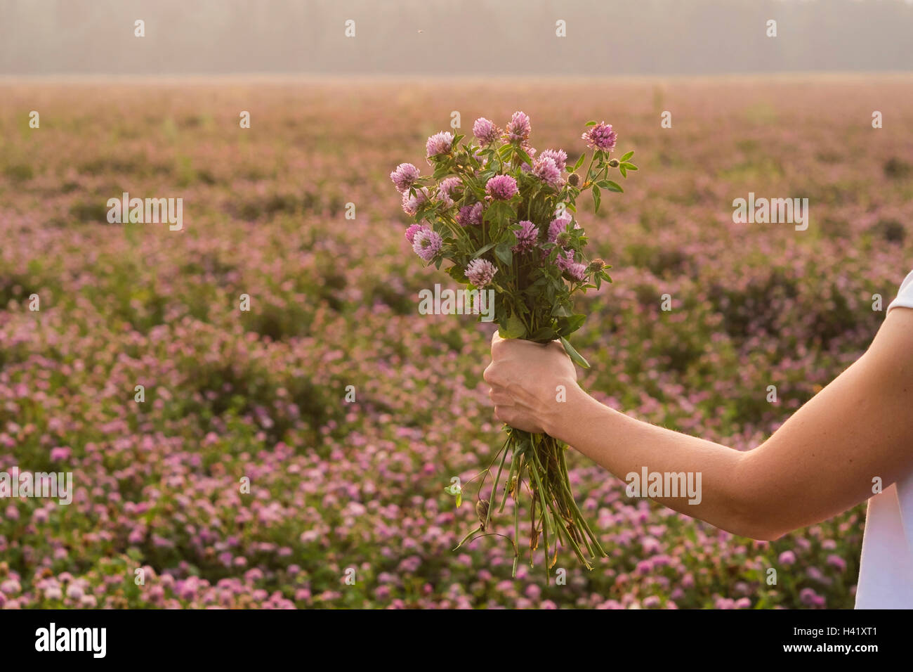 Caucasian woman holding bouquet of flowers in field Banque D'Images