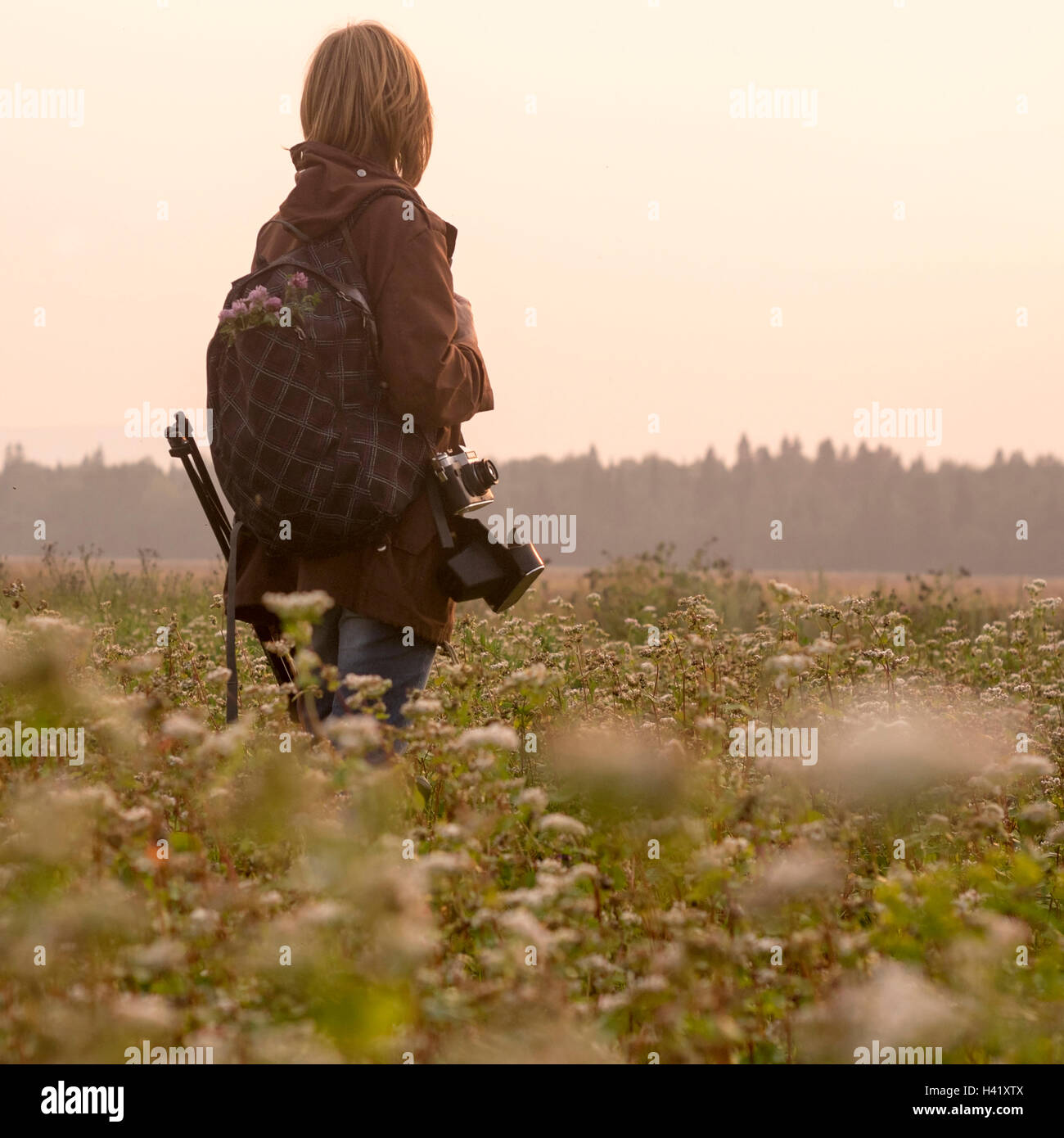 Photographe portrait debout dans champ de fleurs Banque D'Images