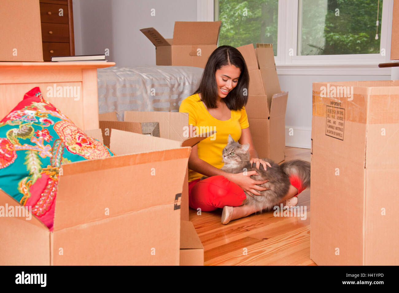 Hispanic woman sitting on floor petting cat près de cartons de déménagement Banque D'Images