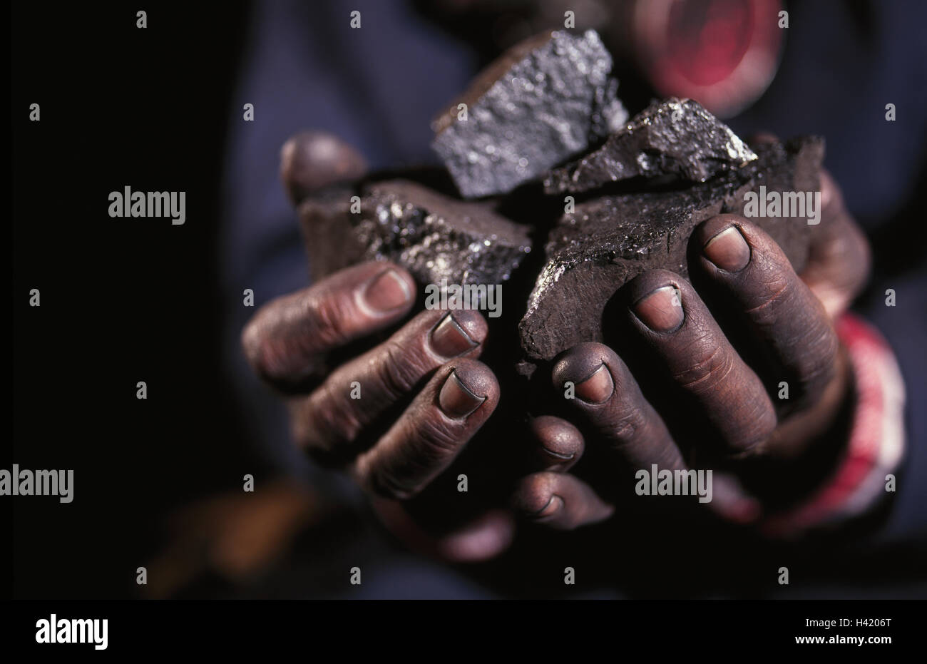 Mains tenant morceaux de charbon Banque D'Images