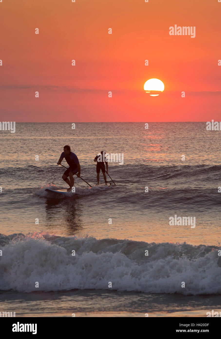 Silhouette d'hommes paddleboarding sur les vagues de l'océan Banque D'Images